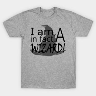 I Am in fact A Wizard! T-Shirt